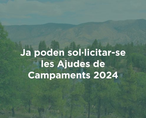 ajudes campaments