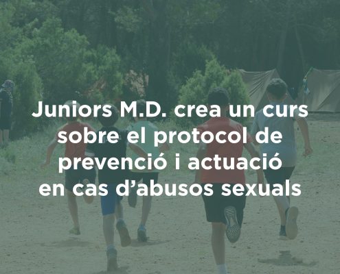 curs protocol menor
